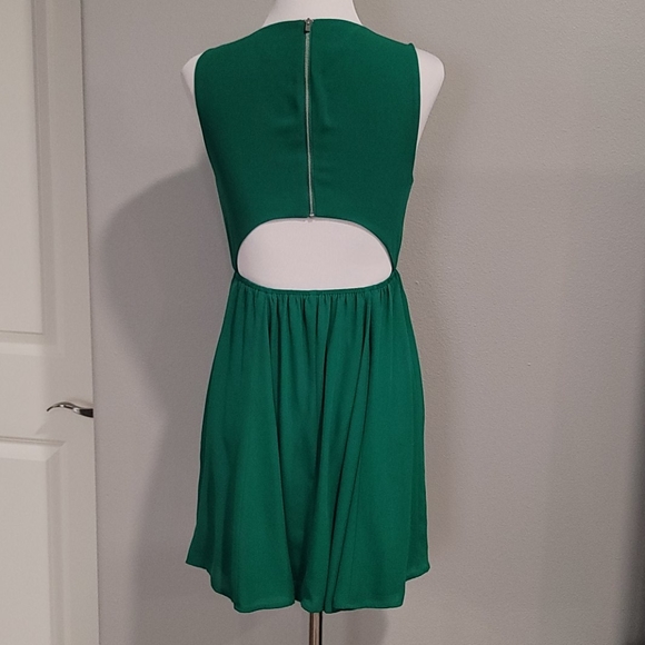Green Express Dress - Picture 3 of 5